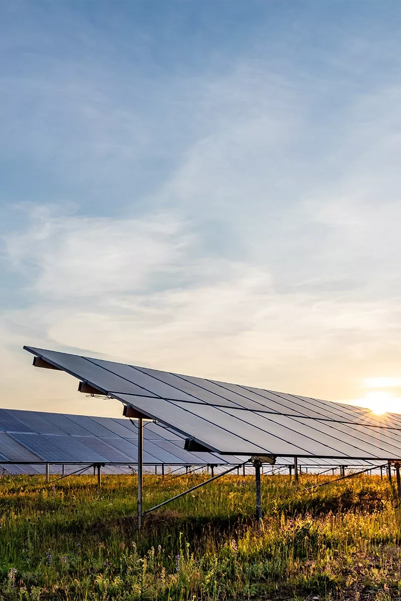 A captivating image displays a serene sunset illuminating a sea of solar panels. The suns warm glow blankets lush grass and rows of neatly arranged panels, creating a harmonious blend of nature and technology. This stunning low-angle shot captures the tranquility of a solar farm at dusk.